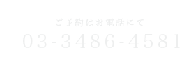 03-3486-4581